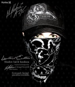 Avenged sevenfold hurley 1