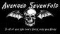 Avenged-sevenfold